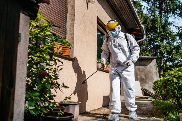 Best Wildlife Control Services  in Flippin, AR