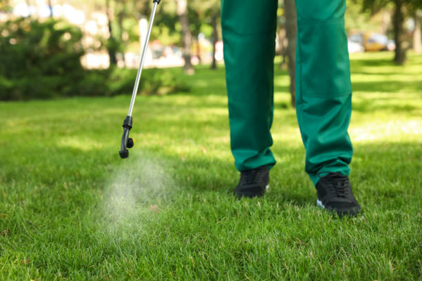 Best Termite Control Services  in Flippin, AR